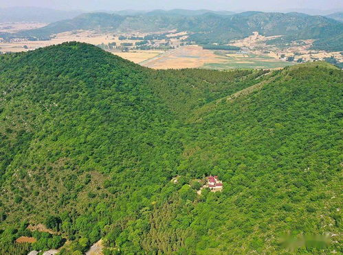 山水诗意抚千秋，烽火乡愁走马年——符离大道曹村镇段景区的山河岁月